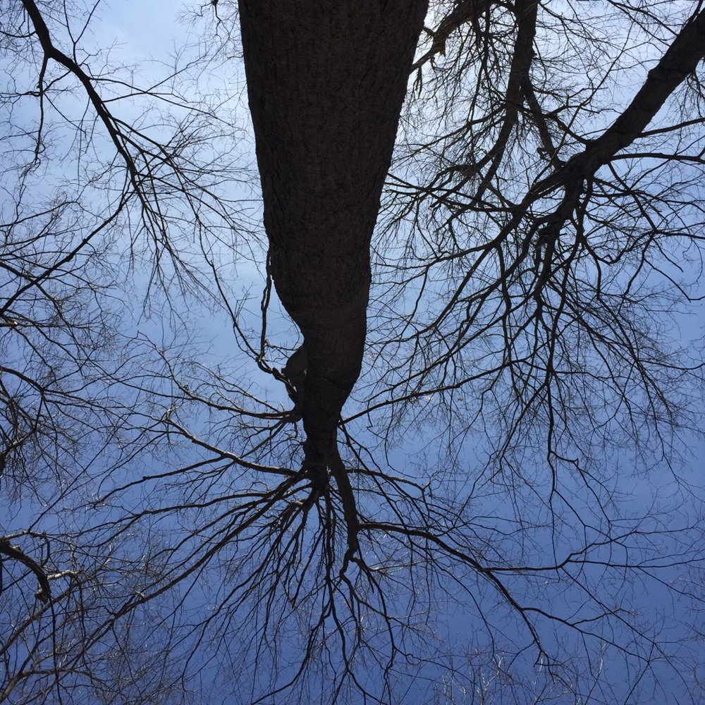 Hevans - Picture 6 of 12